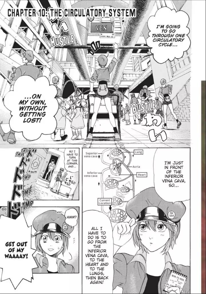 Hataraku Saibou Chapter 10 page 4 - Chapter 10: The Circulatory System