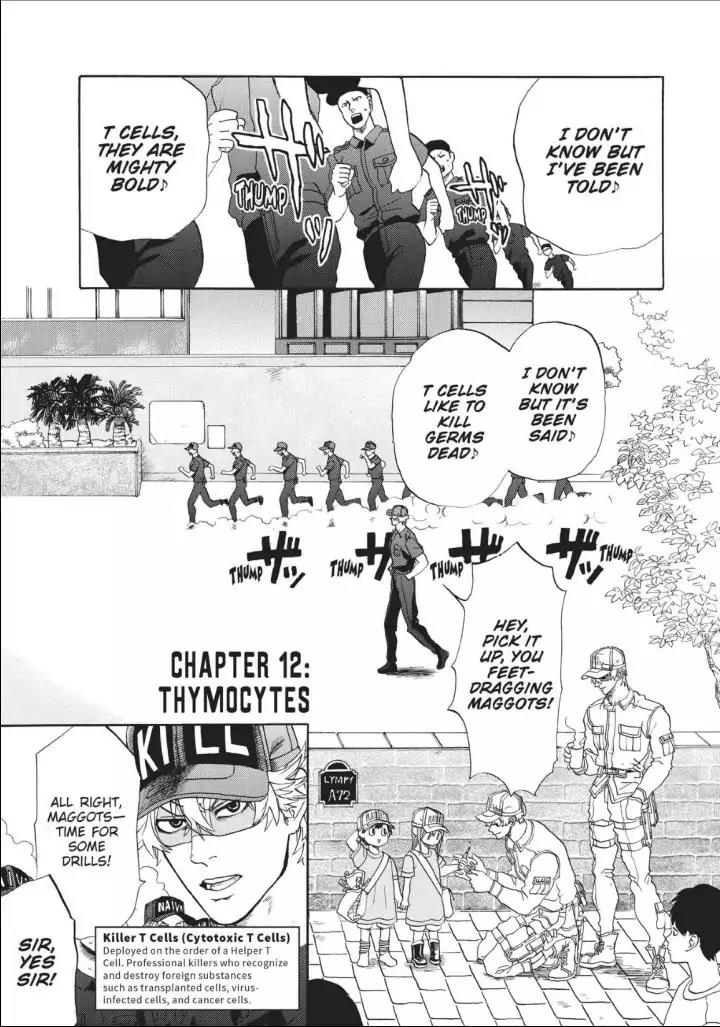 Hataraku Saibou Chapter 12 page 1 - Chapter 12: Thymocytes