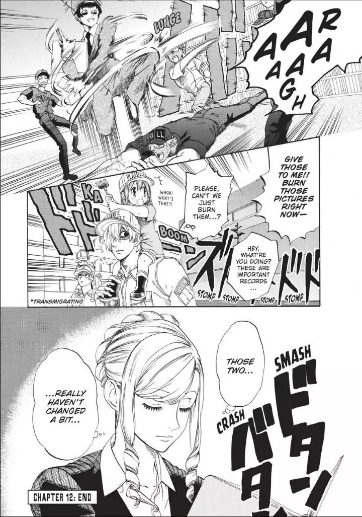 Hataraku Saibou Chapter 12 page 36 - Chapter 12: Thymocytes