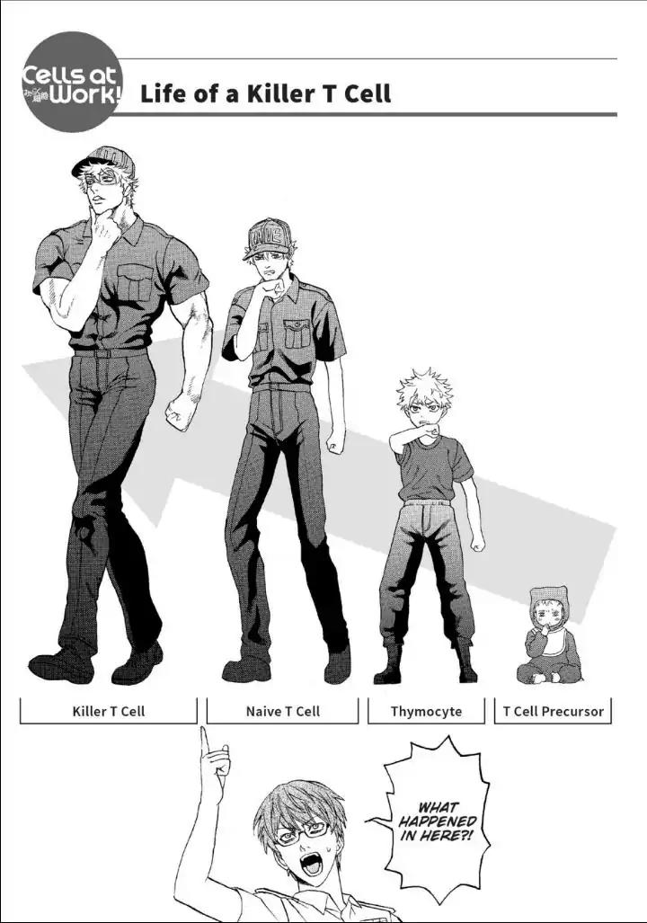 Hataraku Saibou Chapter 12 page 37 - Chapter 12: Thymocytes