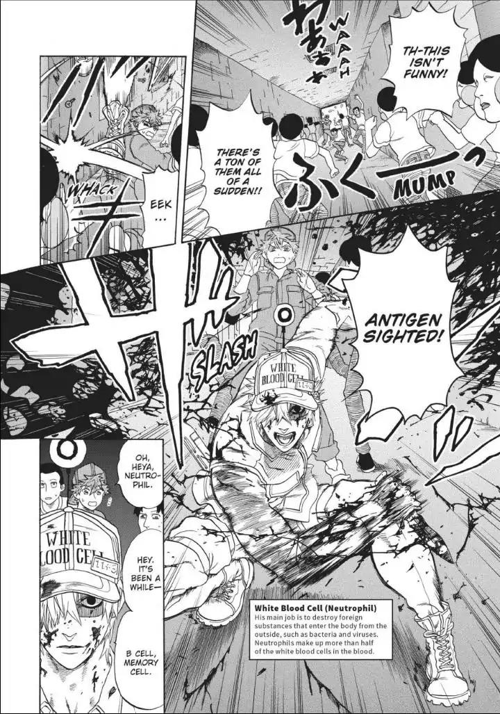 Hataraku Saibou Chapter 13 page 8 - Chapter 13: Acquired Immunity