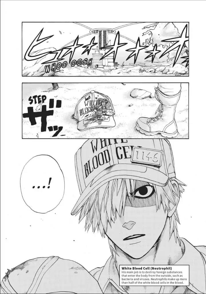 Hataraku Saibou Chapter 14 page 1 - Chapter 14: Pimple
