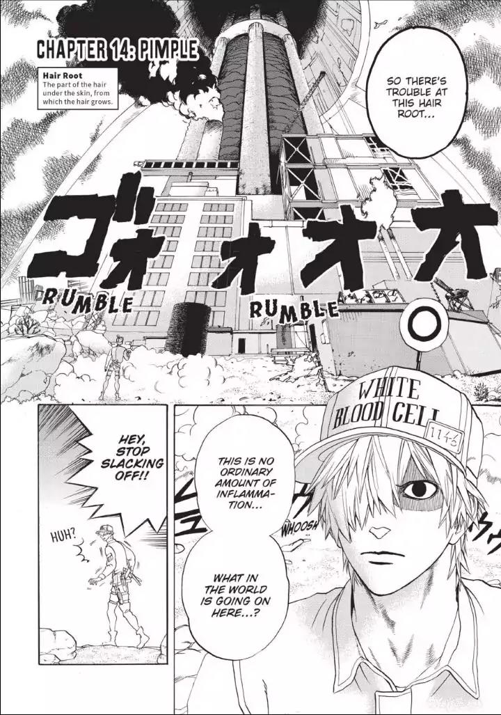 Hataraku Saibou Chapter 14 page 2 - Chapter 14: Pimple