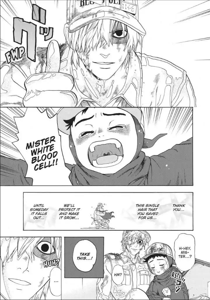 Hataraku Saibou Chapter 14 page 29 - Chapter 14: Pimple