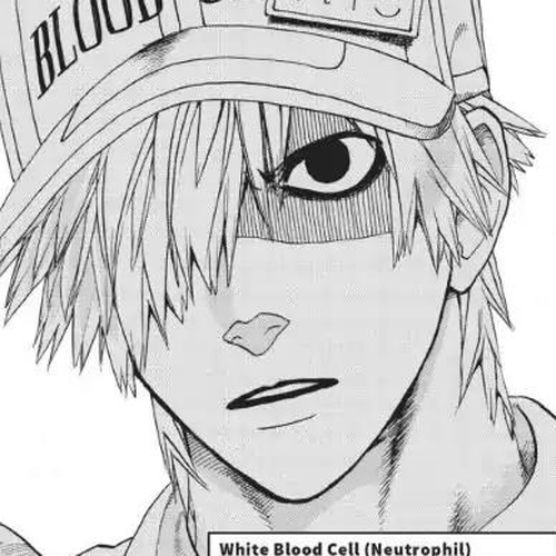 Hataraku Saibou Chapter 14: Pimple cover