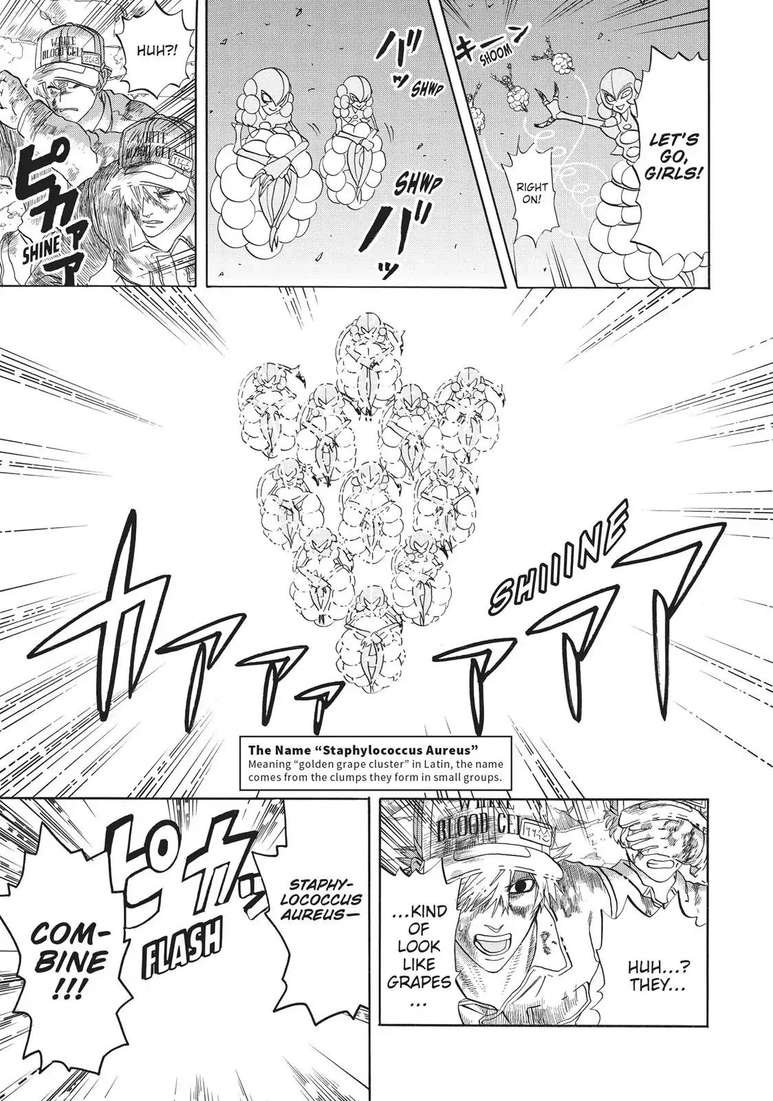 Hataraku Saibou Chapter 15 page 14 - Chapter 15: Staphylococcus Ảureus