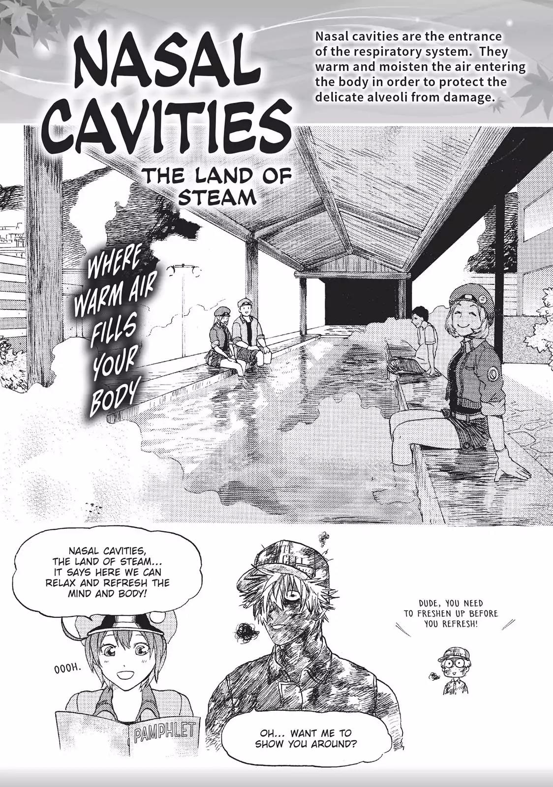 Hataraku Saibou Chapter 15 page 30 - Chapter 15: Staphylococcus Ảureus