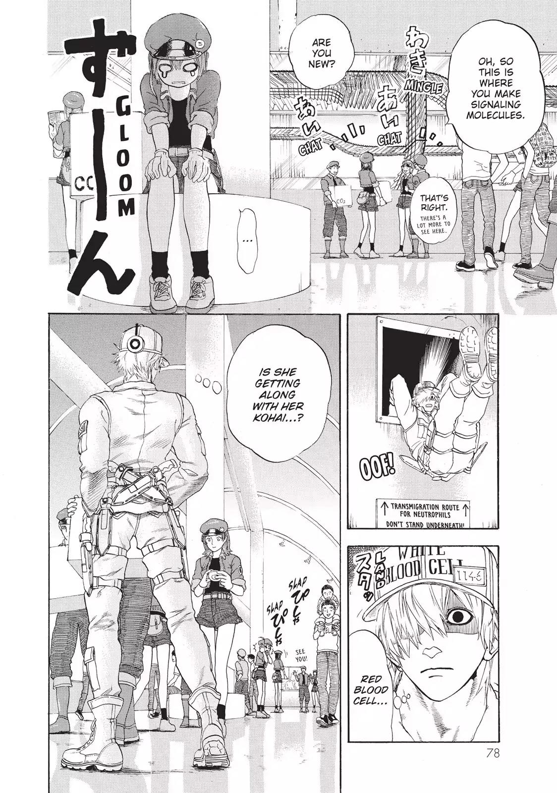 Hataraku Saibou Chapter 17 page 12 - Chapter 17: Hypovolemic Shock (Part I)