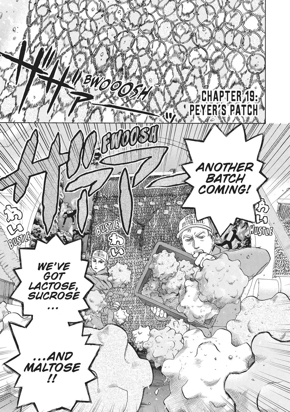 Hataraku Saibou Chapter 19 page 1 - Chapter 19: Peyer's Patch