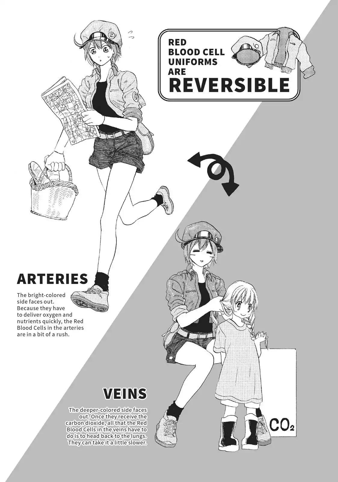 Hataraku Saibou Chapter 2 page 41 - Chapter 2: Cedar Pllen Allergy