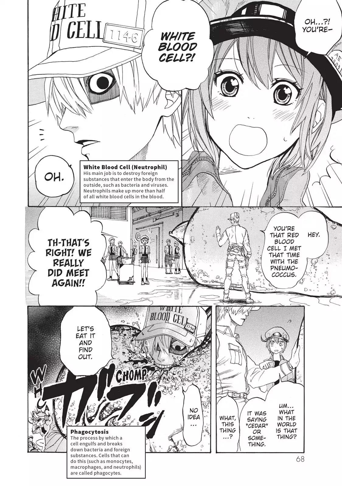Hataraku Saibou Chapter 2 page 8 - Chapter 2: Cedar Pllen Allergy