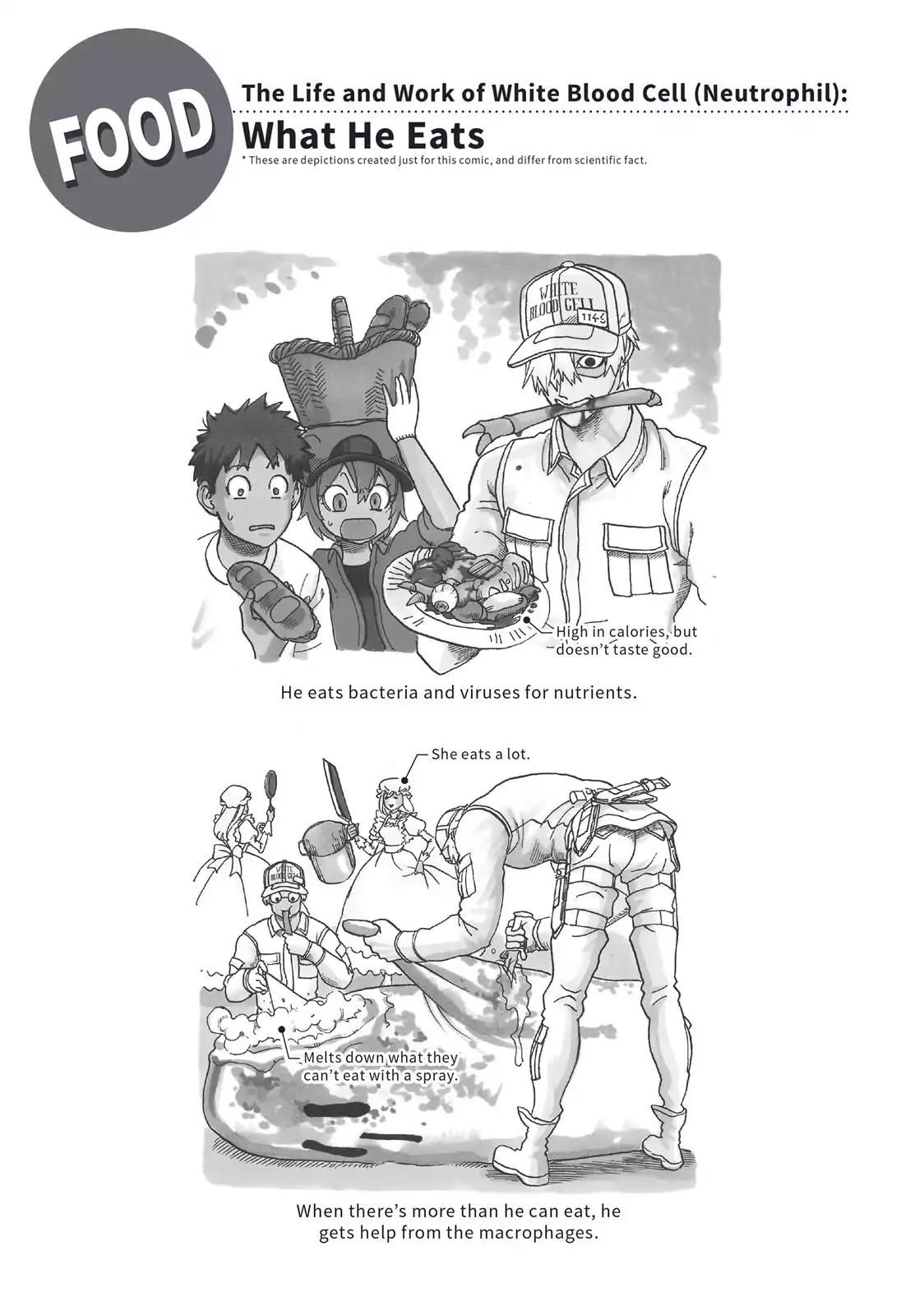 Hataraku Saibou Chapter 21 page 29 - Chapter 21: Antigenic Shift