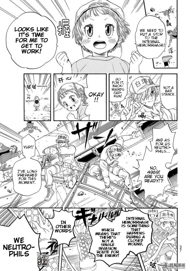 Hataraku Saibou Chapter 26 page 17 - Chapter 26: Bump