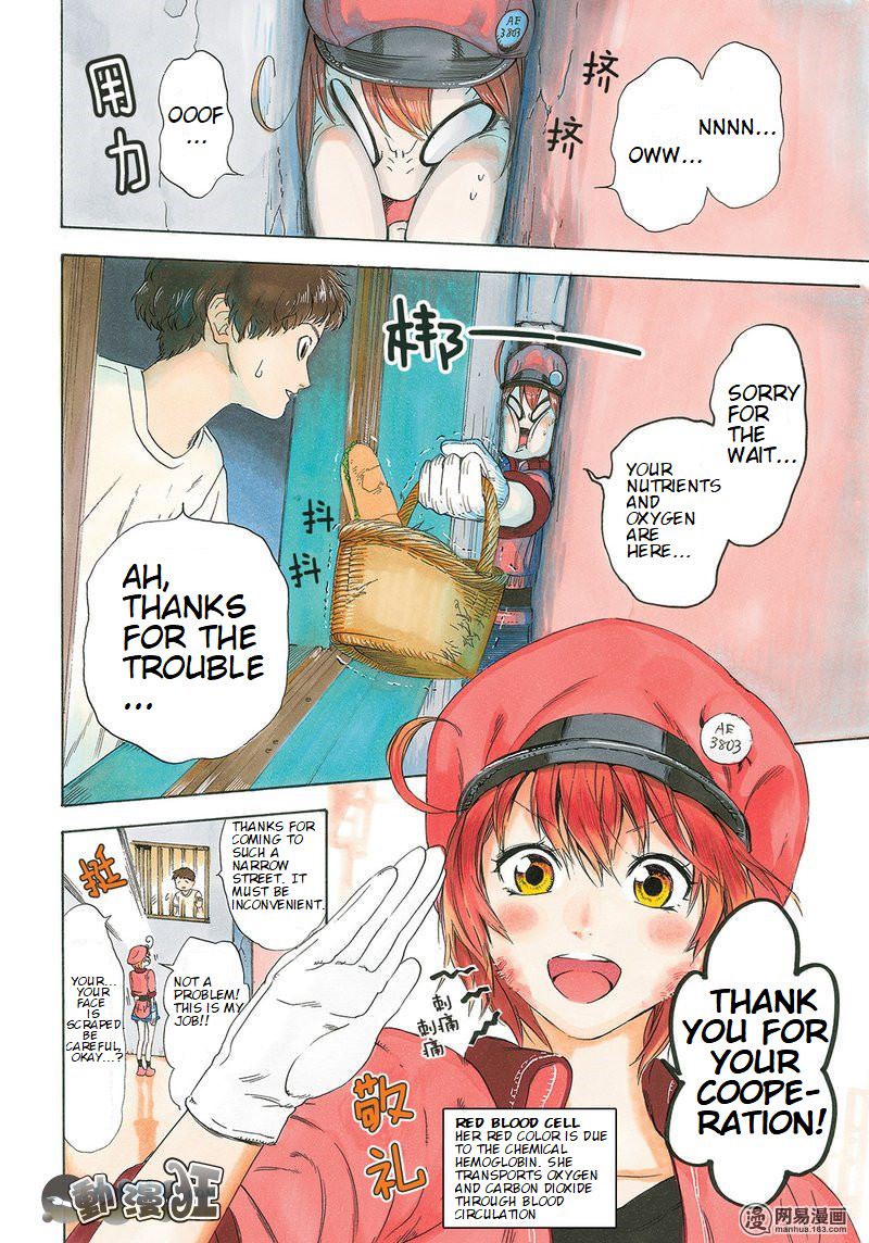 Hataraku Saibou Chapter 26 page 2 - Chapter 26: Bump