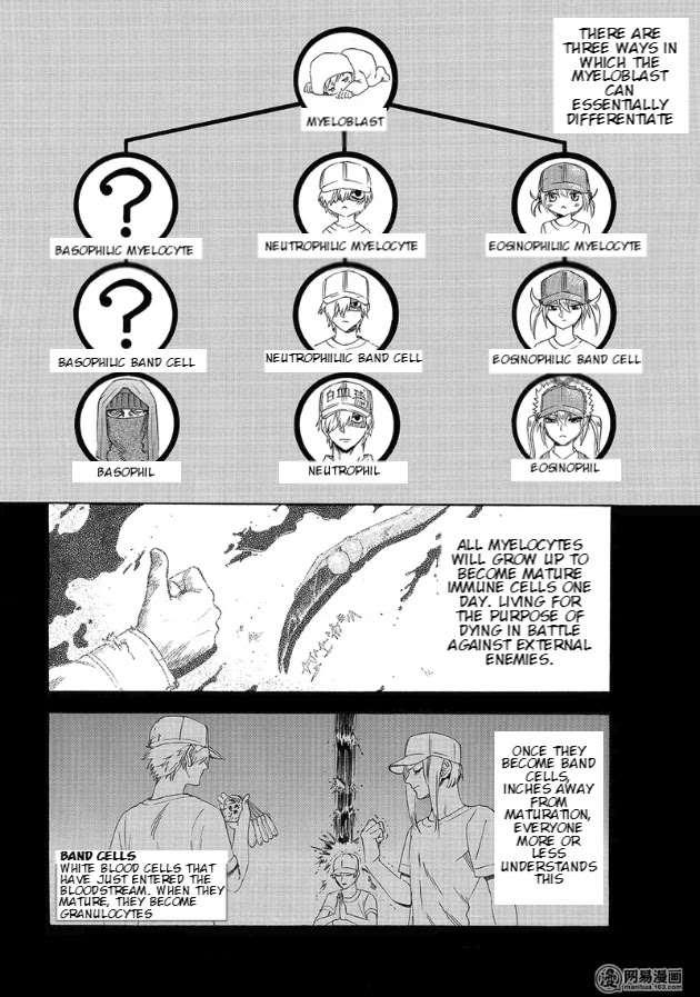 Hataraku Saibou Chapter 27 page 4 - Chapter 27: Left Shift