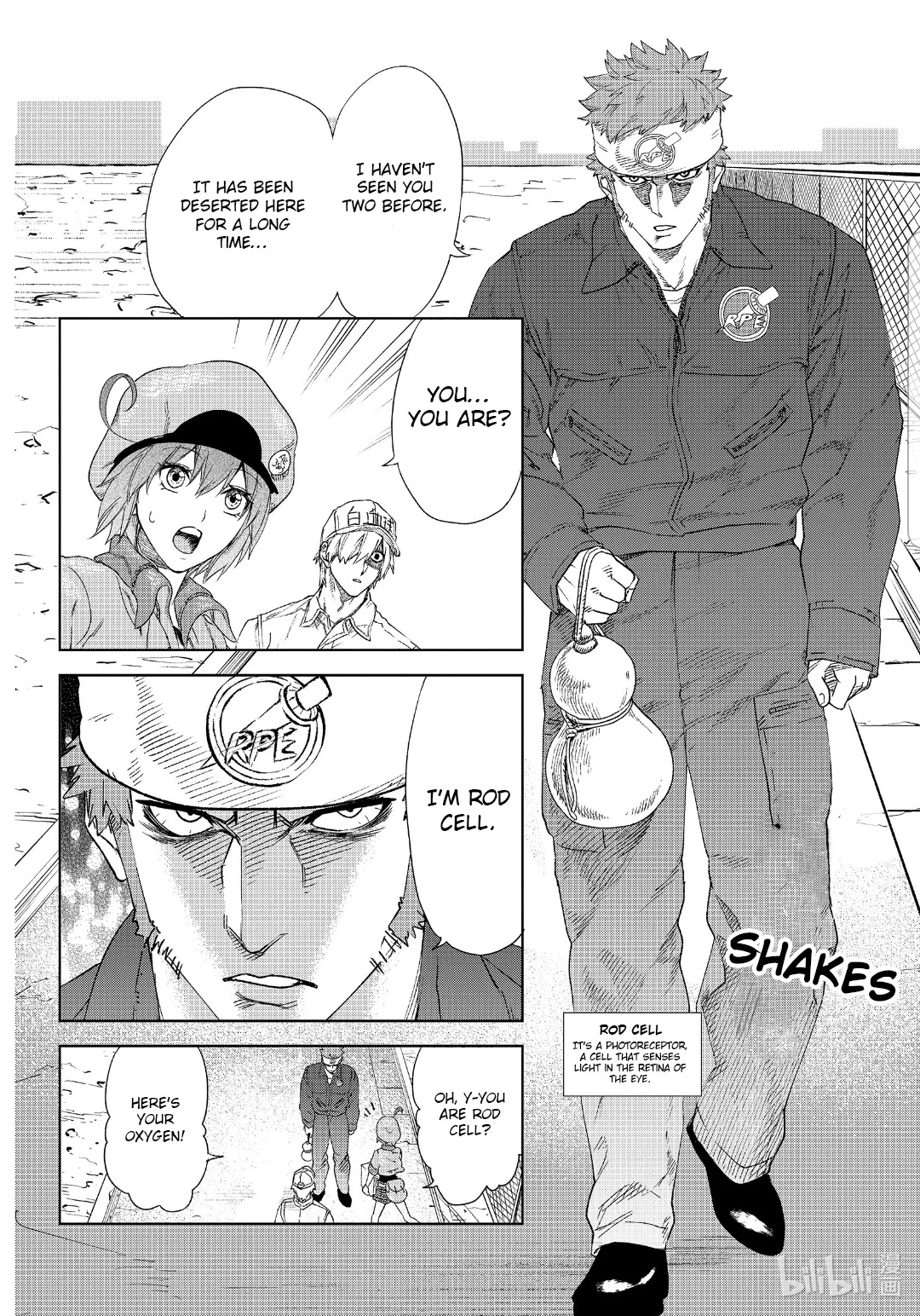 Hataraku Saibou Chapter 28 page 8 - Chapter 28: IPS Cells
