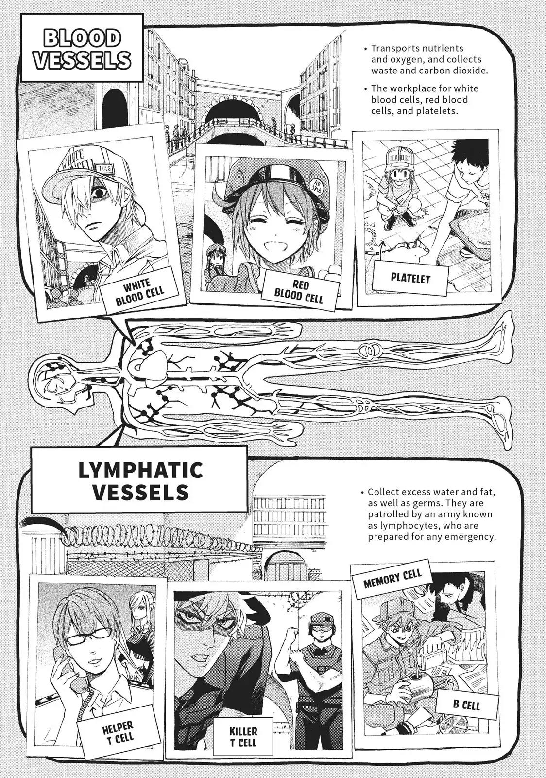 Hataraku Saibou Chapter 3 page 33 - Chapter 3: Influenza