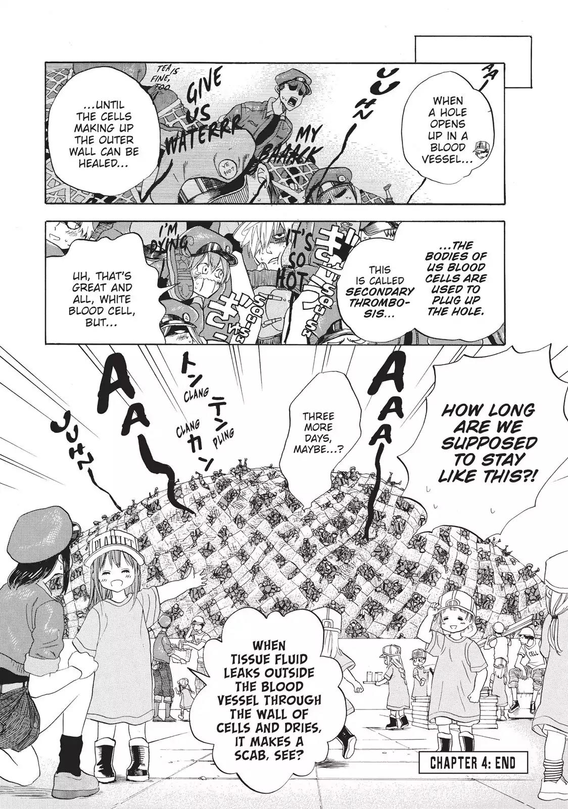 Hataraku Saibou Chapter 4 page 36 - Chapter 4: Scrape Wound