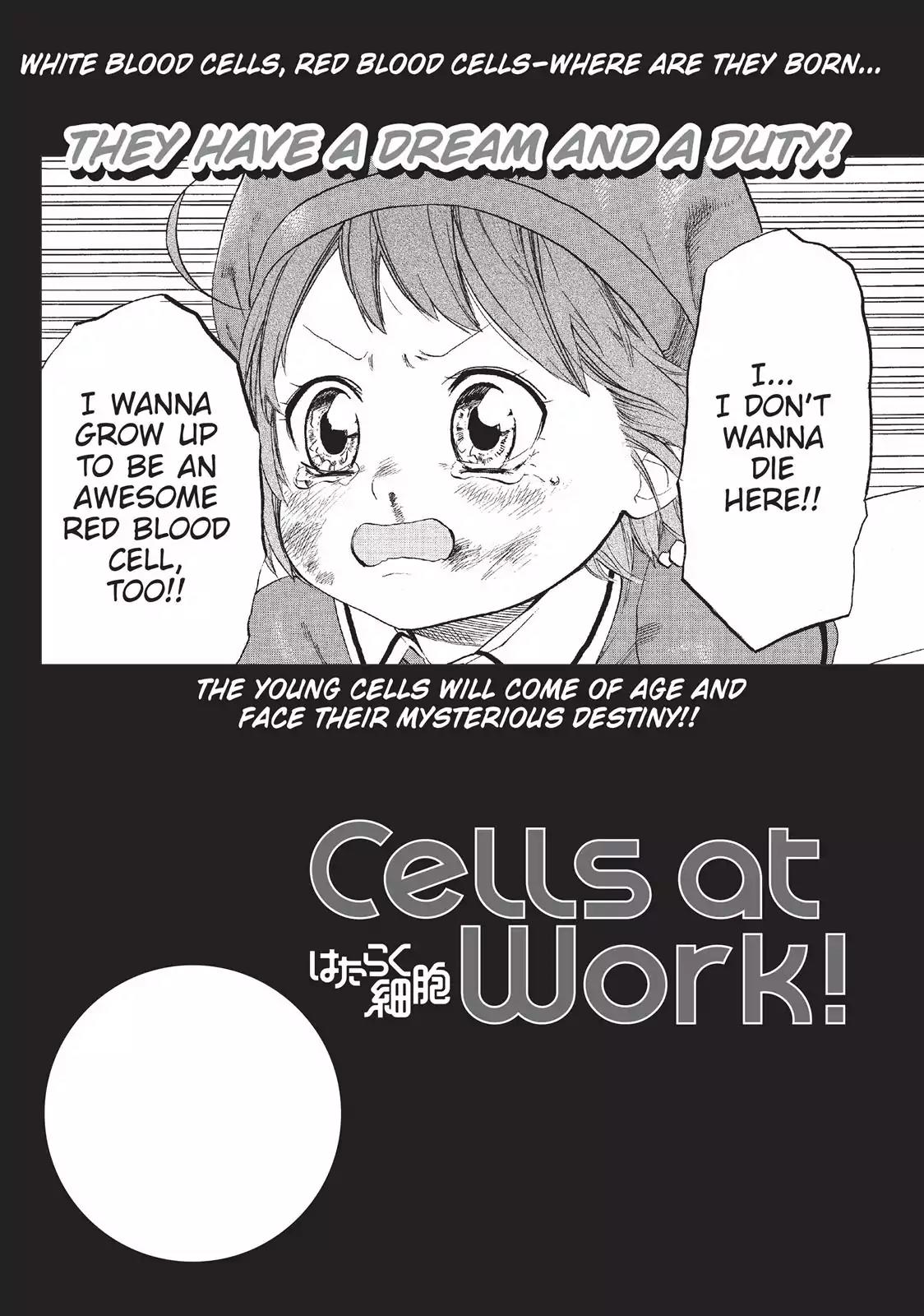 Hataraku Saibou Chapter 4 page 39 - Chapter 4: Scrape Wound
