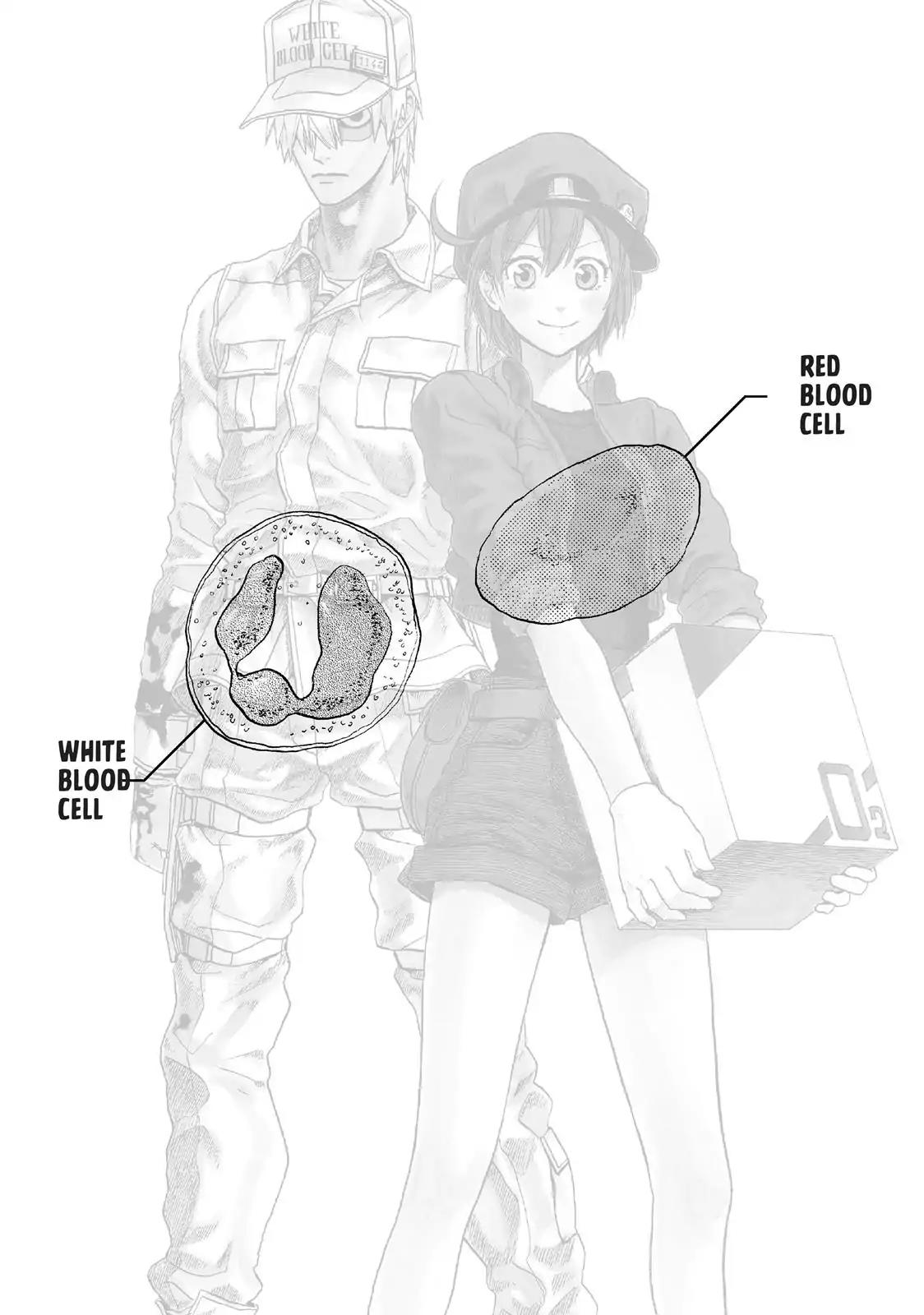 Hataraku Saibou Chapter 4 page 40 - Chapter 4: Scrape Wound