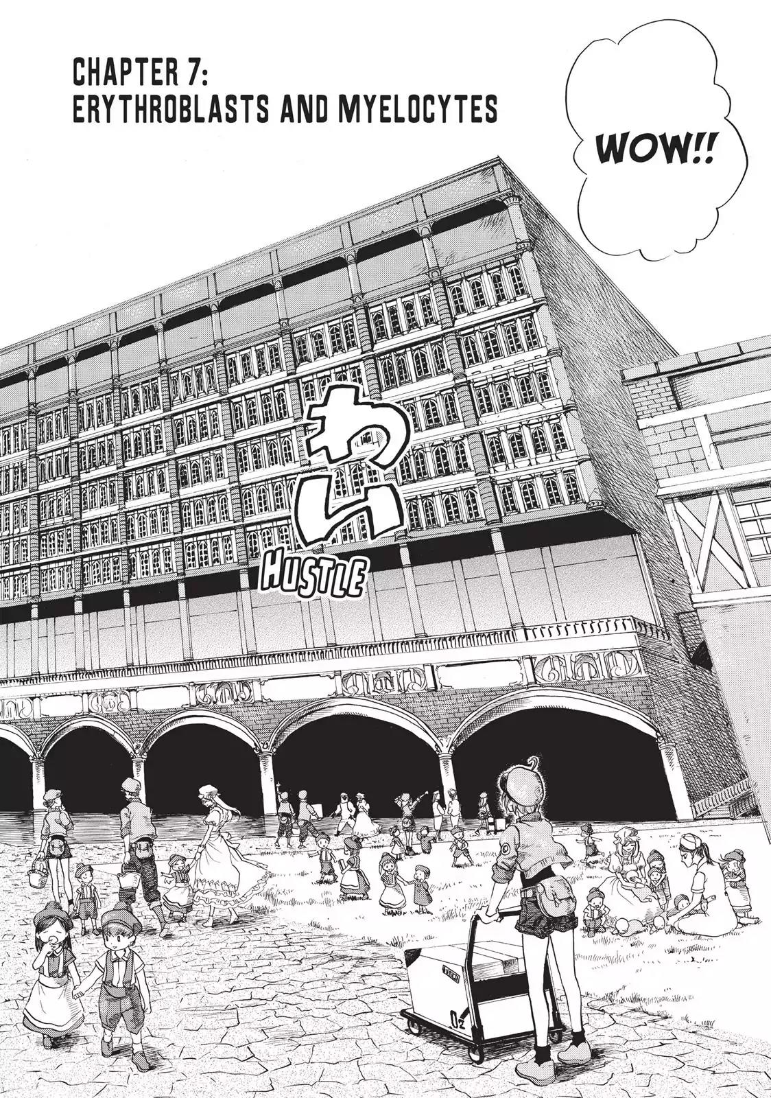 Hataraku Saibou Chapter 7 page 2 - Chapter 7: Erythroblasts and Myelocytes