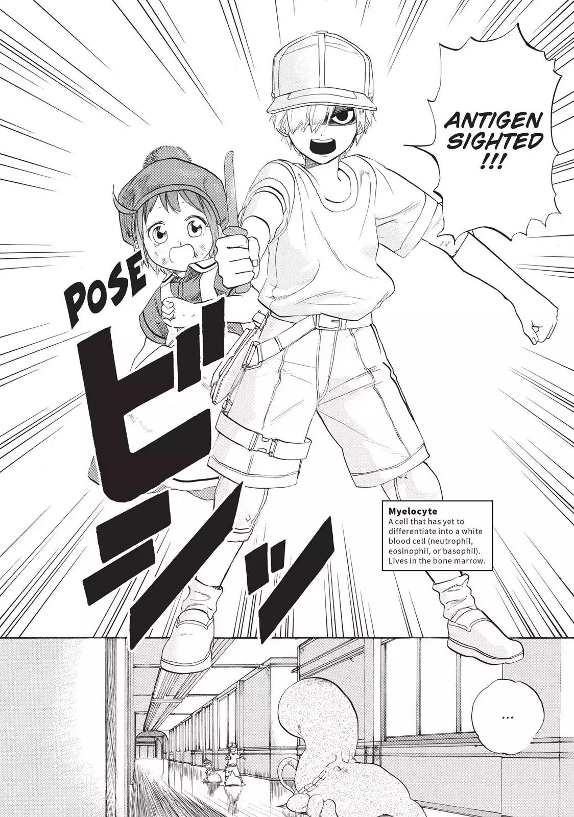 Hataraku Saibou Chapter 7 page 20 - Chapter 7: Erythroblasts and Myelocytes