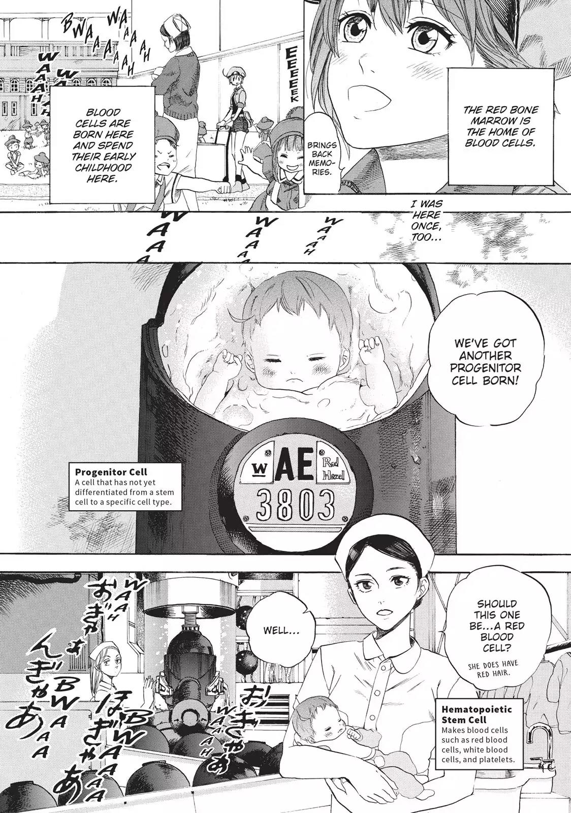 Hataraku Saibou Chapter 7 page 4 - Chapter 7: Erythroblasts and Myelocytes