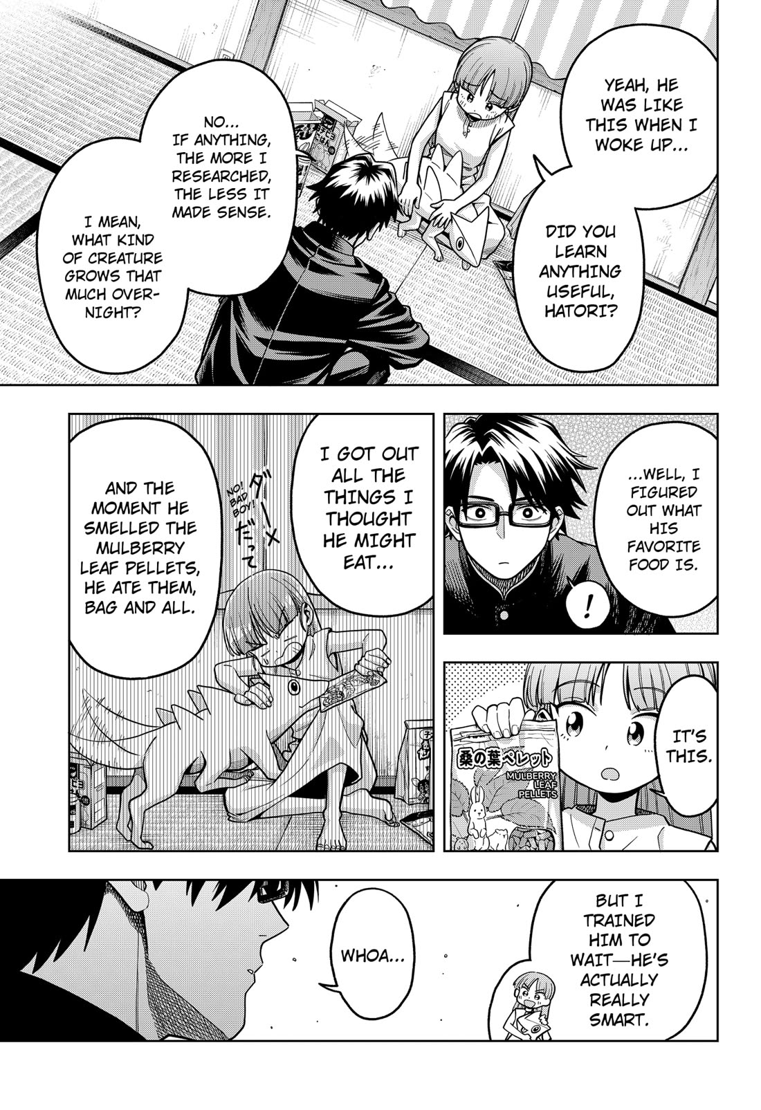 Hatori and Furuta's Extraordinarily Ordinary Life Chapter 4 page 13 - Chapter 4: THE CREATURE FROM THE LOOKING GLASS