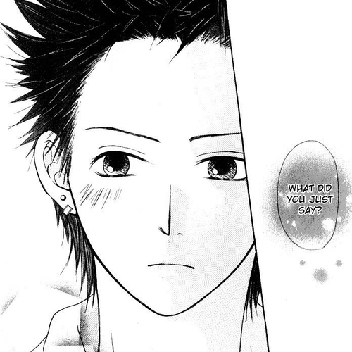 Hatsukoi Hakusho Chapter 4 cover