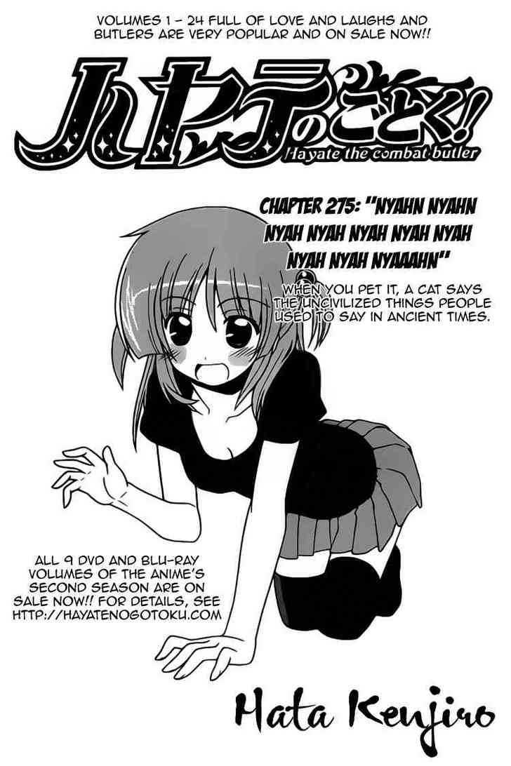 Hayate no Gotoku! Chapter 275 page 1 - Chapter 275 : Meoow Meoow Meow Meow Meow Meow Meow Meow Meow Meooow ?