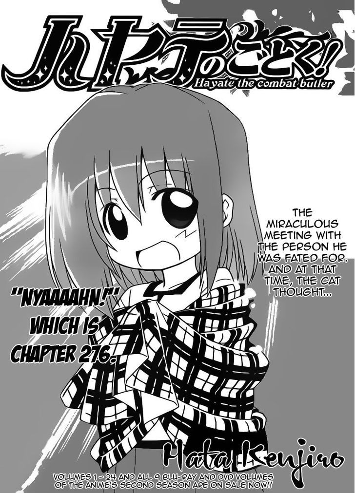 Hayate no Gotoku! Chapter 276 page 2 - Chapter 276 : Miaooow ?