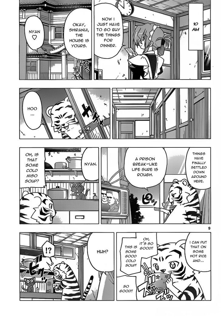 Hayate no Gotoku! Chapter 303 page 9 - Chapter 303 : An Ordinary Life That KyoAni Wouldn't Turn into an Anime?