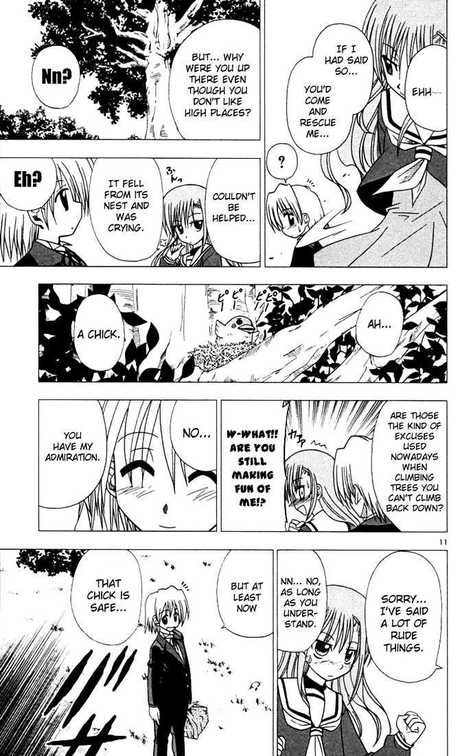 Hayate no Gotoku! Chapter 35 page 11 - Chapter 35 : It's Not Like Idiots, Smoke and Cats Like to Ascend to High Places