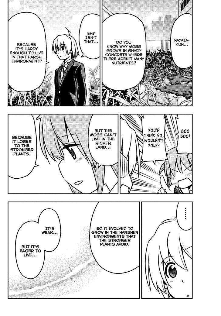 Hayate no Gotoku! Chapter 541 page 10 - Chapter 541 : Flowers in the Shadow
