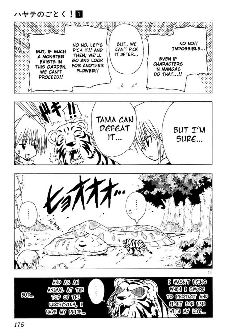 Hayate no Gotoku! Chapter 9 page 11 - Chapter 9 : In the language of flowers, the St. John's worts, in full bloom in the garden, mean revenge