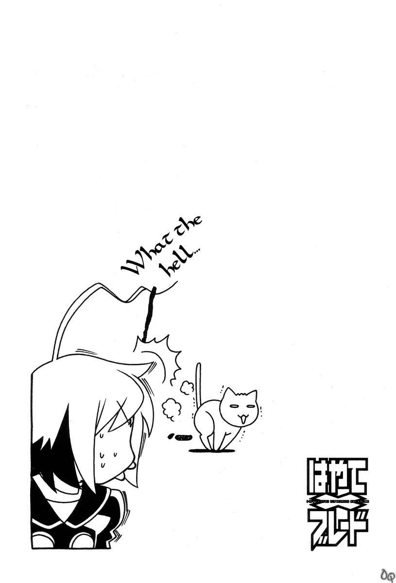 Hayate x Blade Chapter 1 page 41 - Chapter 1: The Idiot Who Came Late