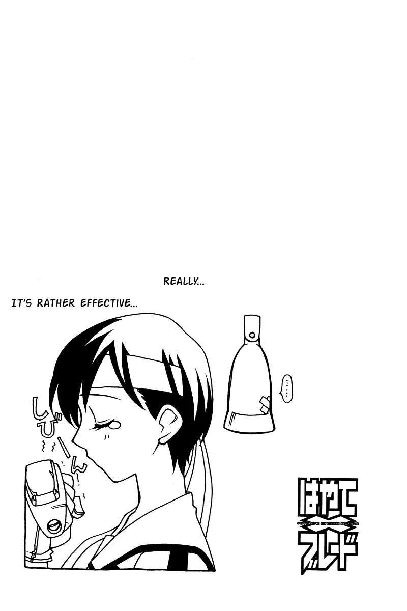 Hayate x Blade Chapter 4 page 29 - Chapter 4: The Idiot Who Fights for Excellence