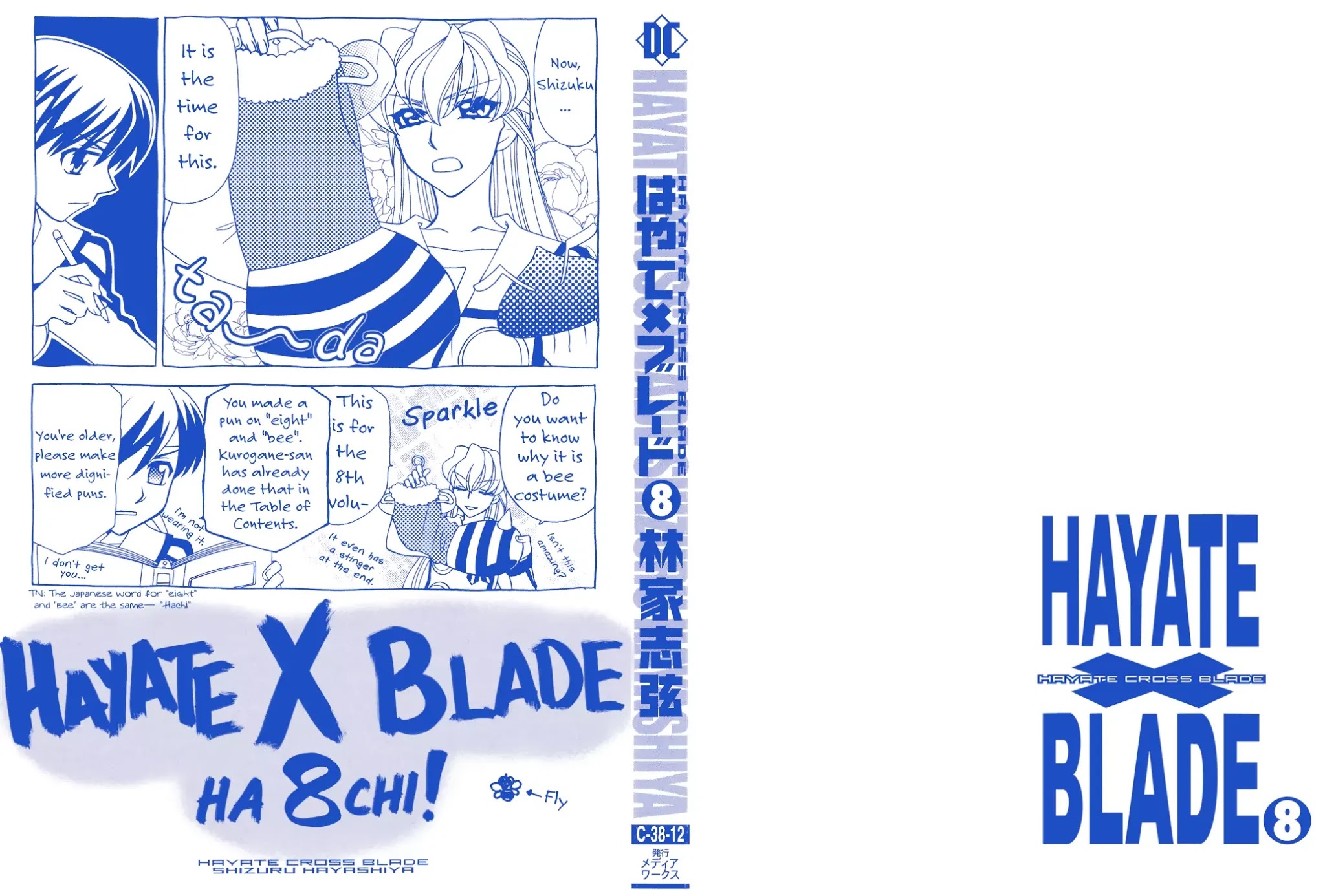 Hayate x Blade Chapter 43 page 3 - Chapter 43: Idiots Move Three Steps Forward and Two Steps Back