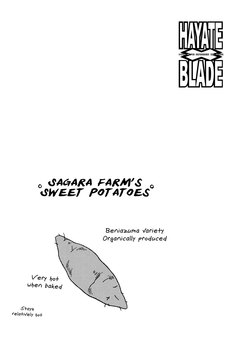 Hayate x Blade Chapter 47 page 36 - Chapter 47: Tenchi's Mouth, Idiot's Paradise