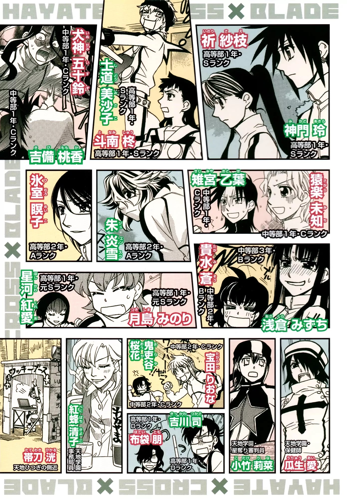 Hayate x Blade Chapter 61 page 6 - Chapter 61: Stupid is as Idiots Do