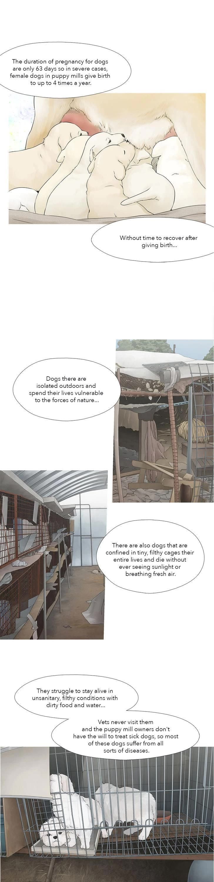 Heart of A Companion Chapter 16 page 6 - Chapter 16