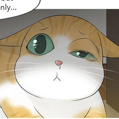Heart of A Companion Chapter 3 : The Best for Her cover