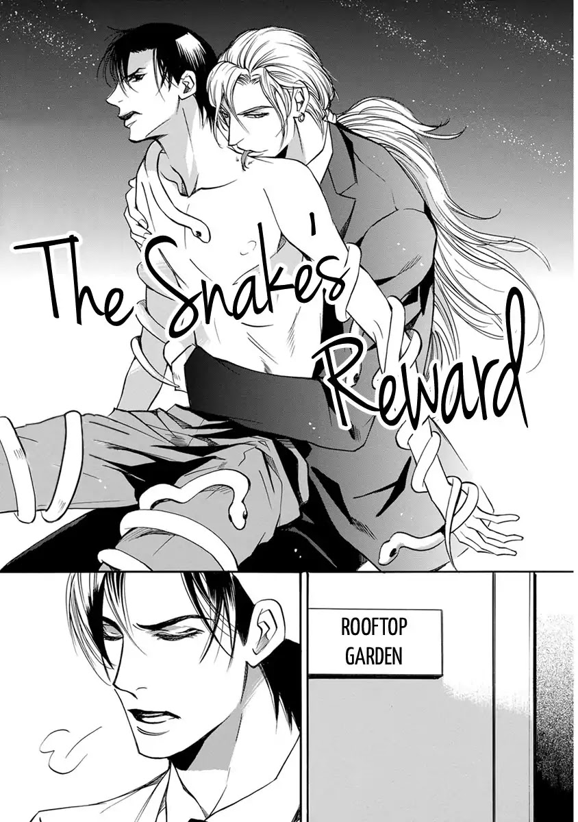 Hebi no Yomeiri Chapter 1 page 7 - Chapter 1: The Snake's Reward
