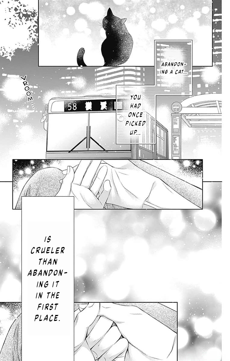 Hello, Innocent Chapter 15 page 36 - Chapter 15
