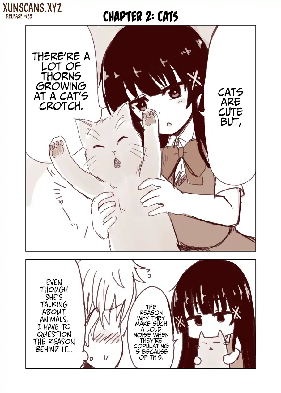 Hen na Chishiki ni Kuwashii Kanojo Takayukashiki Souko-san (Webcomic) Chapter 2 page 1 - Chapter 2: Cats