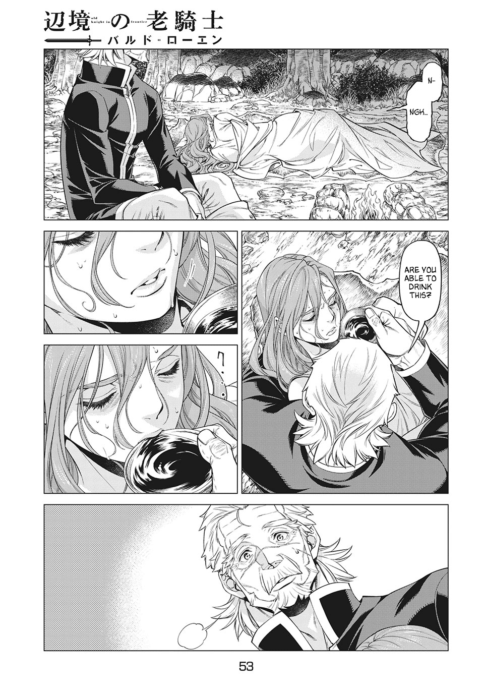Henkyou no Roukishi - Bard Loen Chapter 40 page 17 - Chapter 40: Lady Knight