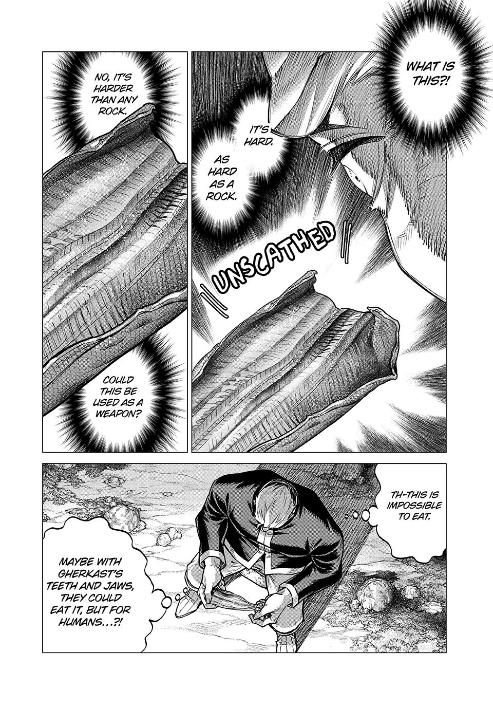 Henkyou no Roukishi - Bard Loen Chapter 82 page 16 - Chapter 82