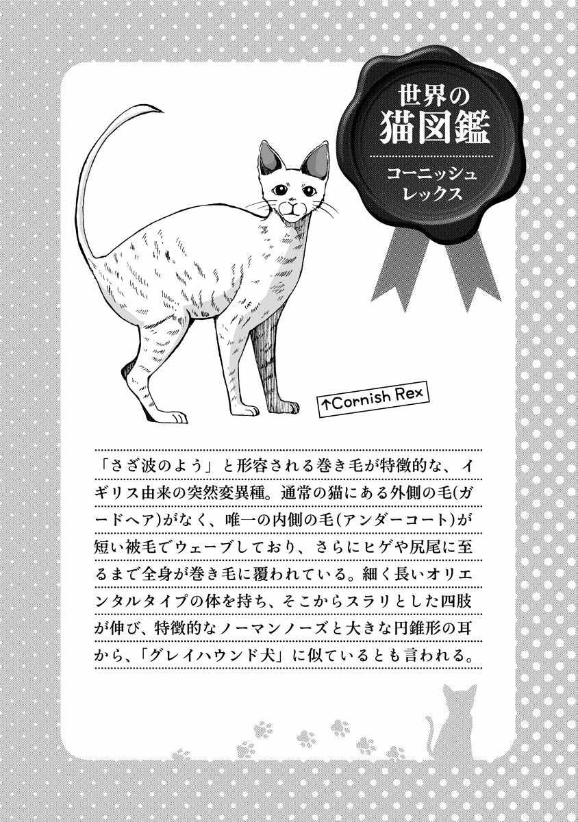 Hentai Ouji to Warawanai Neko Chapter 11 page 26 - Chapter 11: How to Defeat The Easy-Going King (3)