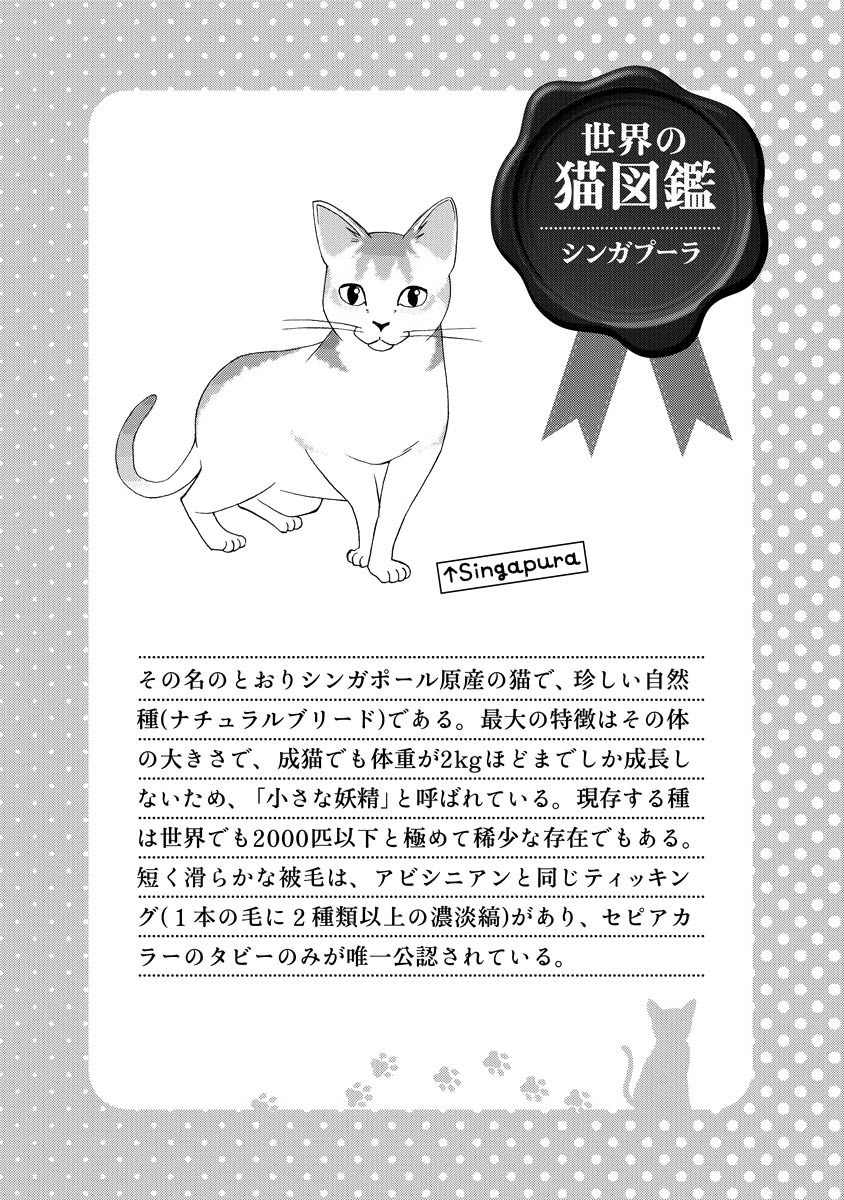 Hentai Ouji to Warawanai Neko Chapter 12 page 27 - Chapter 12: How to Defeat The Easy-Going King (4)