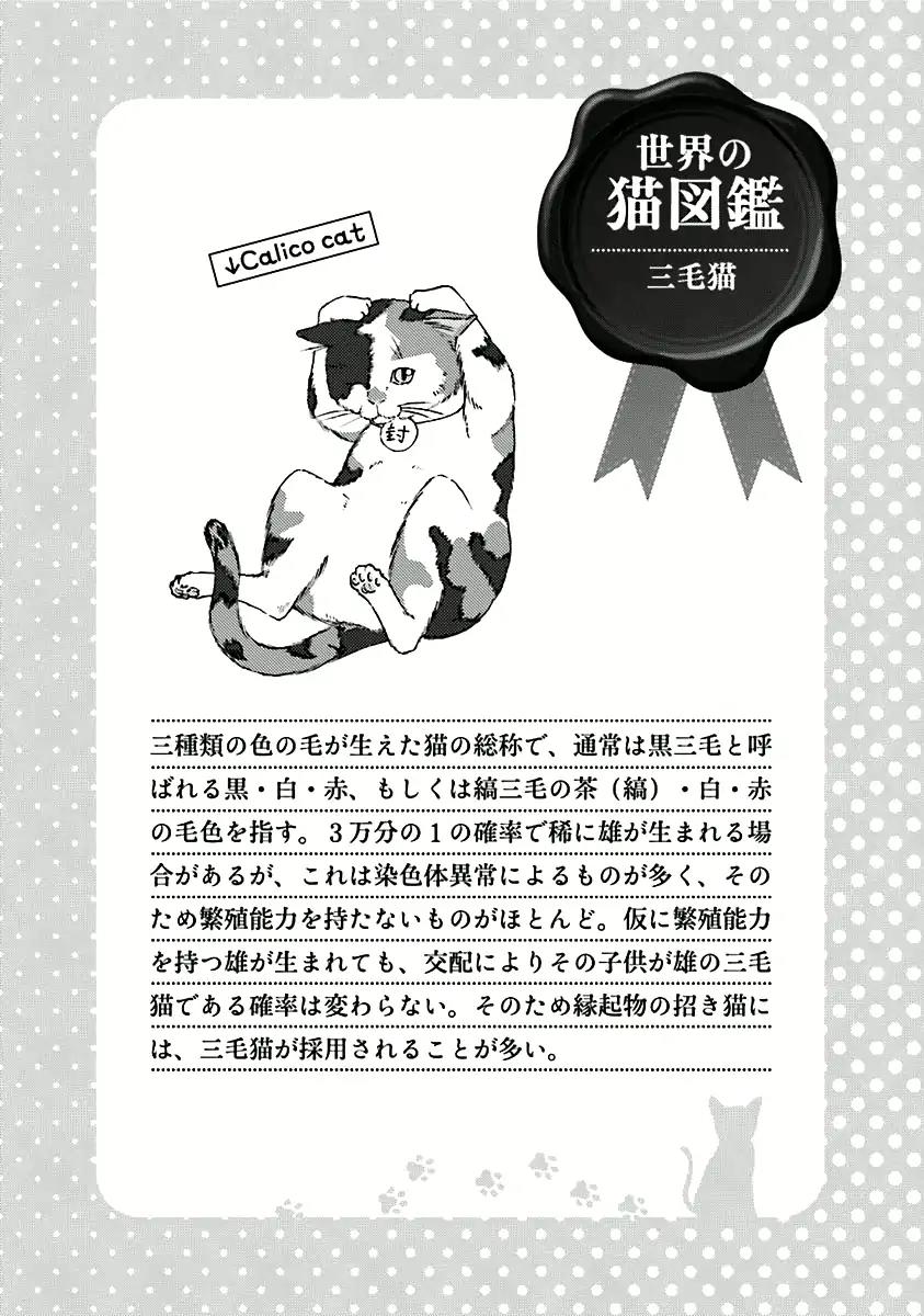 Hentai Ouji to Warawanai Neko Chapter 32 page 19 - Chapter 32: The Alice of the Mysterious Country (1)